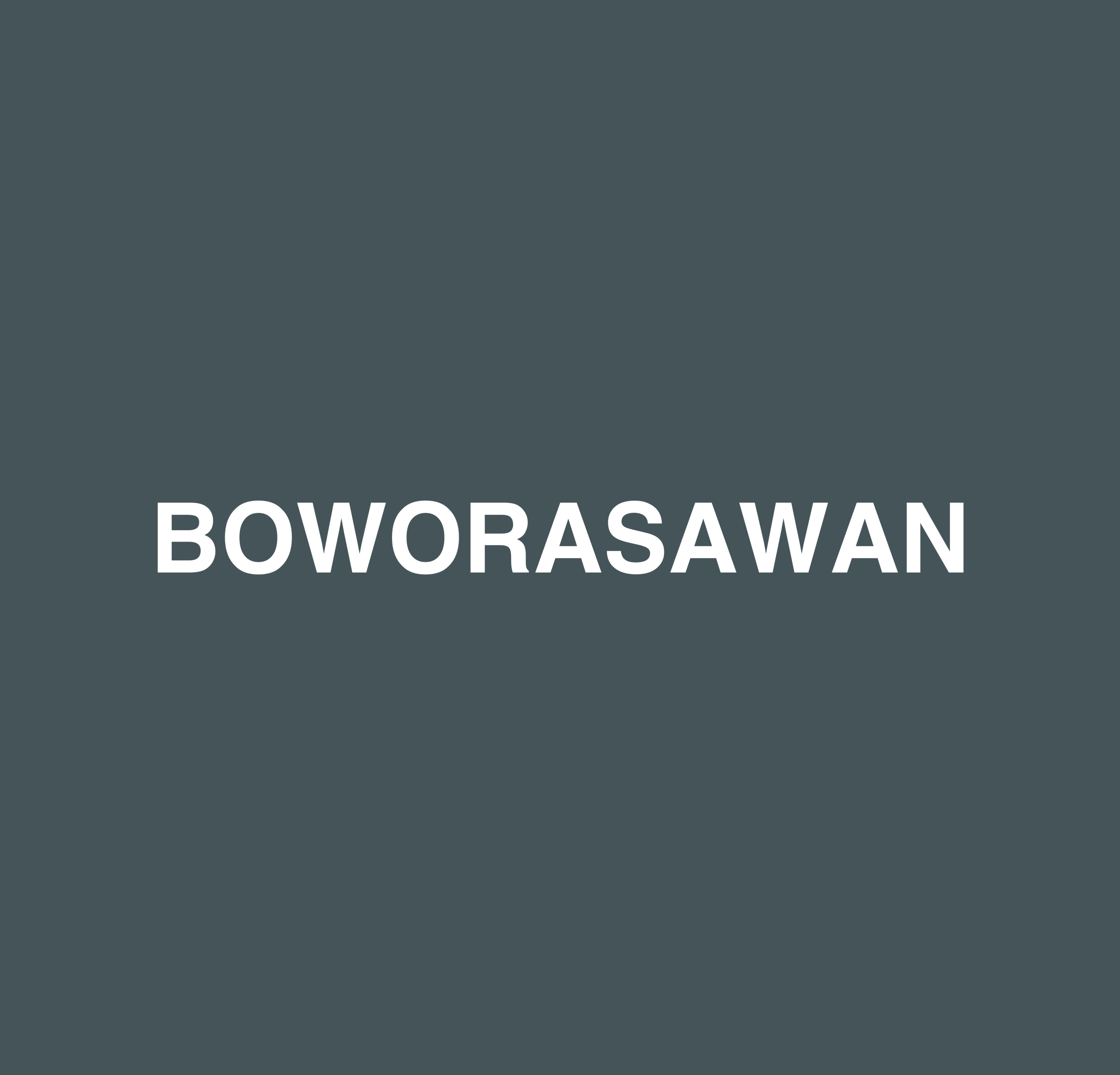 BOWORASAWAN BOWORASIRIPANYAKUL 